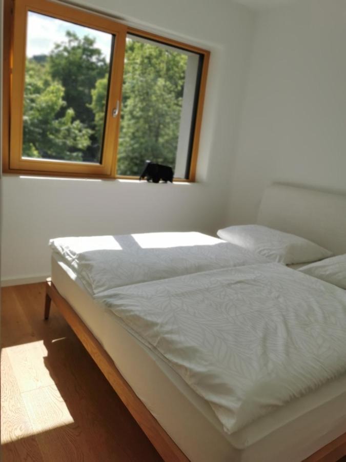 Apartman 191 With Balcony Ljubljana